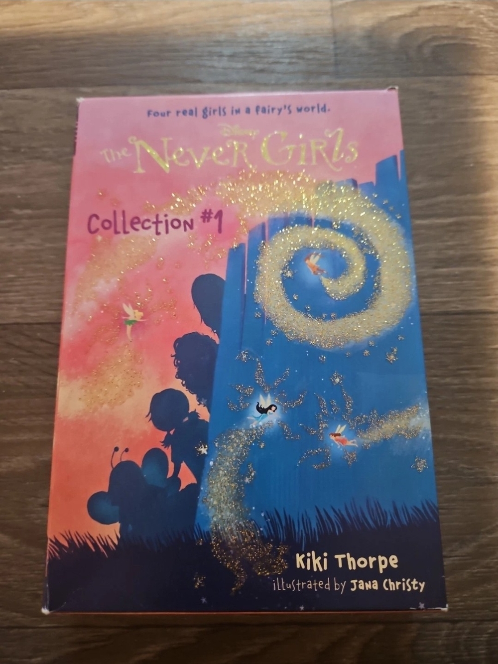 Disney The Never Girls Collection #1 Book - Pink & Blue with Gold Glitter